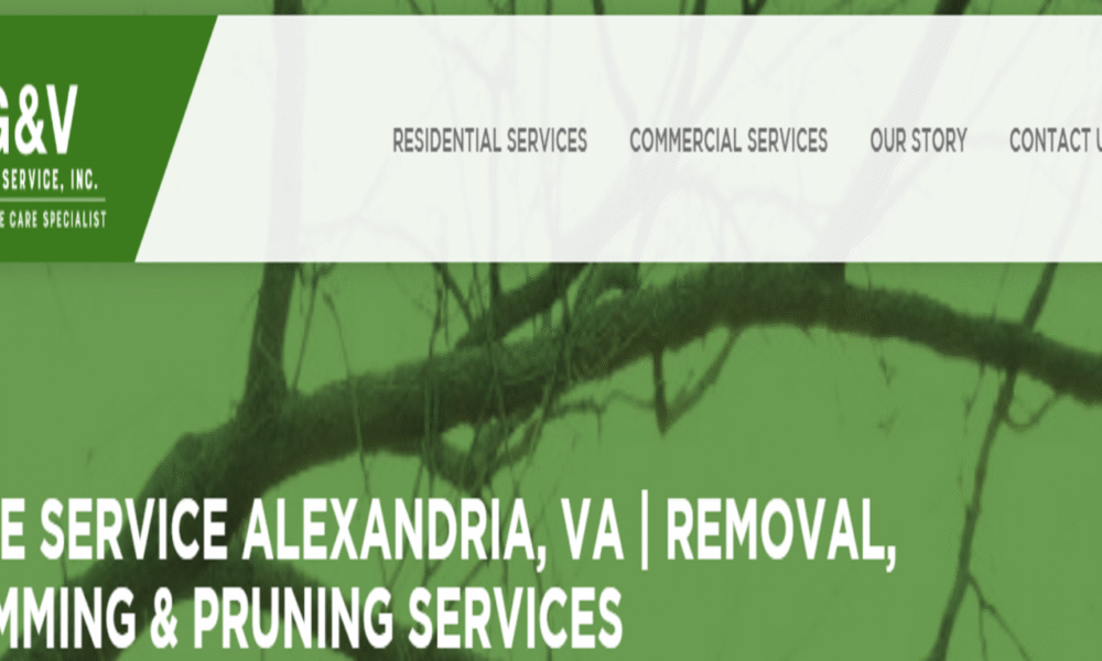 G & V Tree Service, Inc